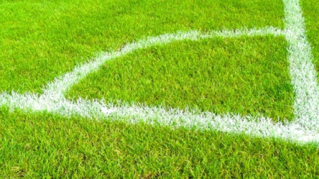Pronostici Serie B 29esima giornata