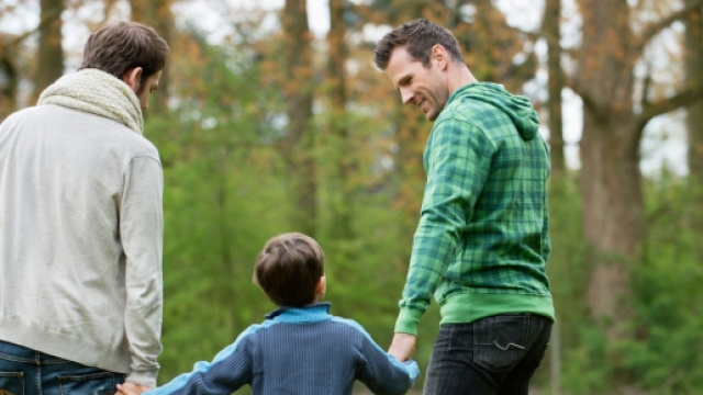 Unioni Civili niente stepchild adoption