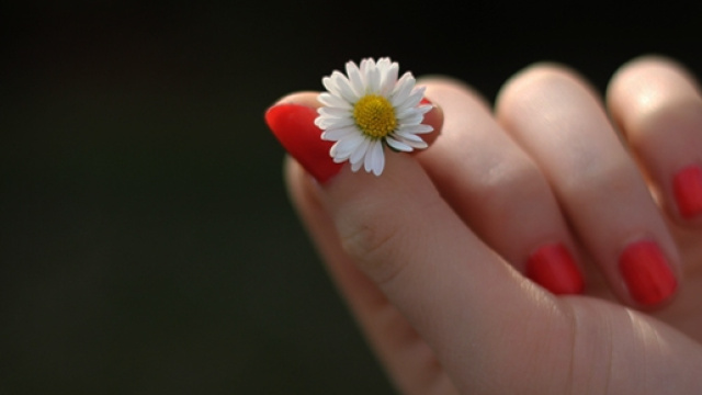 Festa della donna 2016: data, storia e idee regalo