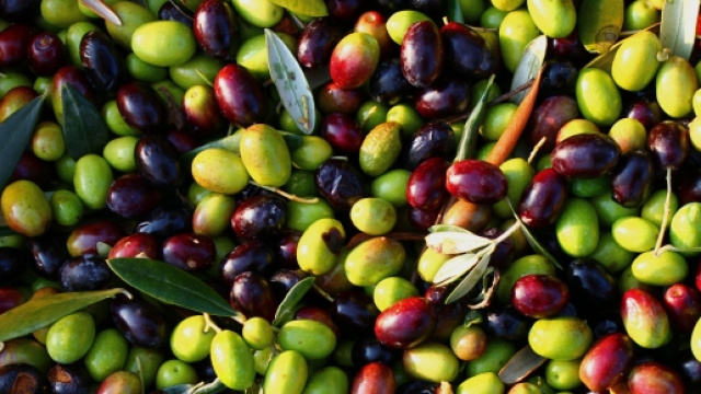 Olio di oliva, minacce da import e contraffazioni