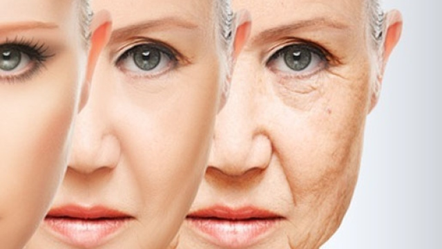 Rughe: il segreto della giovinezza in un enzima