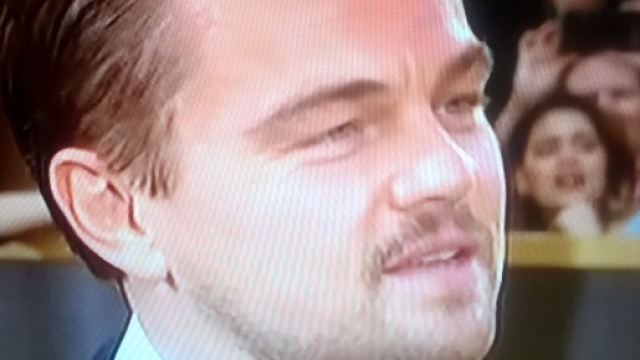 Leo DiCaprio sul red carpet, Oscar 2016