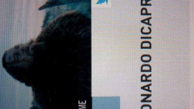 Leonardo Di Caprio nella famosa scena di Revenant