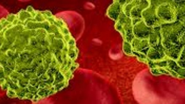 Cellula tumorale nel circolo ematico