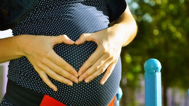 Il no all'utero in affitto delle donne italiane