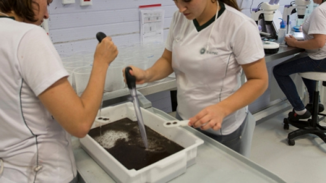 Prosegue la ricerca medica nei Paesi colpiti