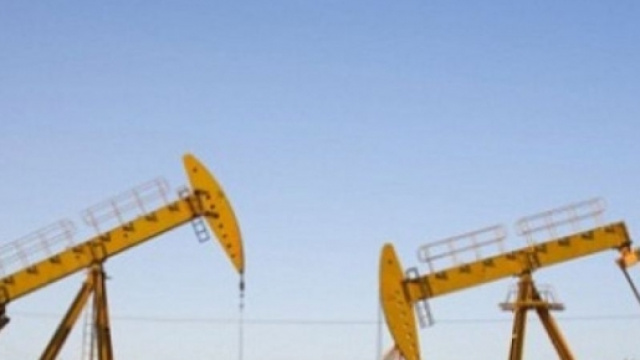 Trivelle, arriva il primo stop dal Governo