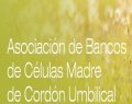 La historia y la misión de ABC Cordón, la Asociación de Bancos de Células Madre