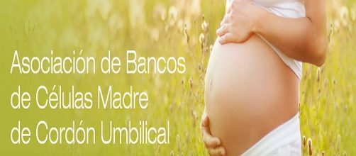 La ONG ayuda a entender el uso de c&eacute;lulas madre