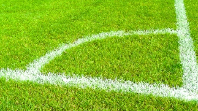 Pronostici Torino-Chievo e Verona-Inter