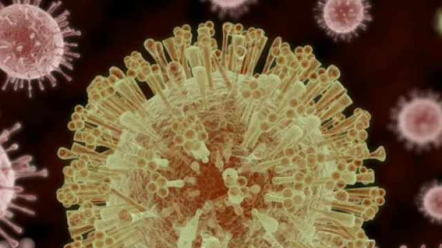 Virus Zika, altri italiani contagiati