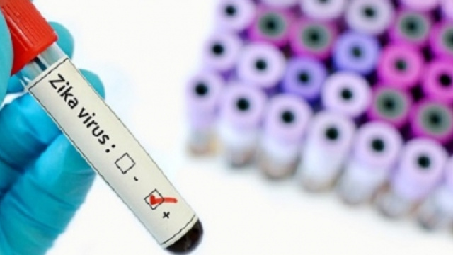 Zika, cresce l'allarme anche in Europa