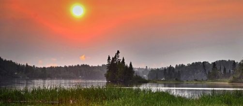 The credits of the picture are of the pixabay