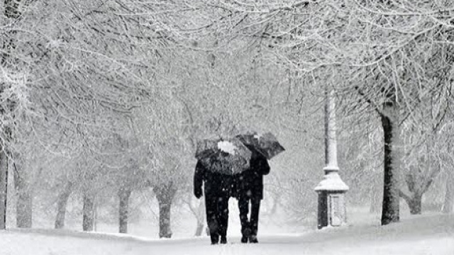 Previsioni meteo febbraio 2016, neve