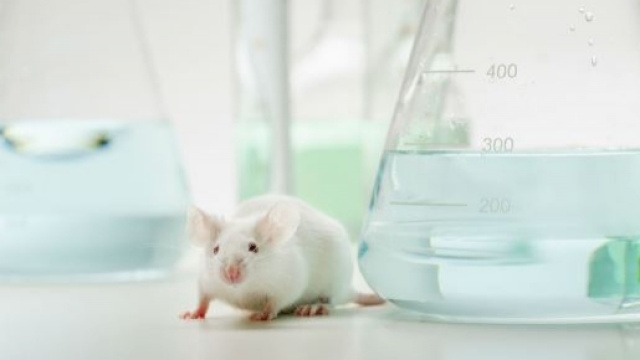 Sperimentazione sugli animali dei nuovi farmaci