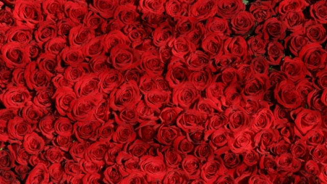 Frasi d'amore per San Valentino 2016