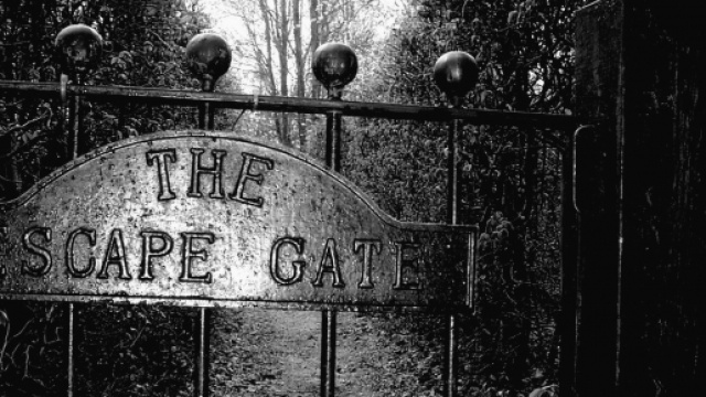 Graduatorie di istituto e inserimento neolaureati