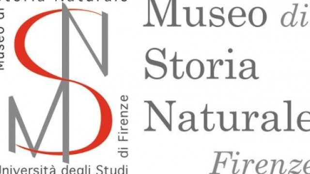 Concorso Museo di Storia Naturale 2016