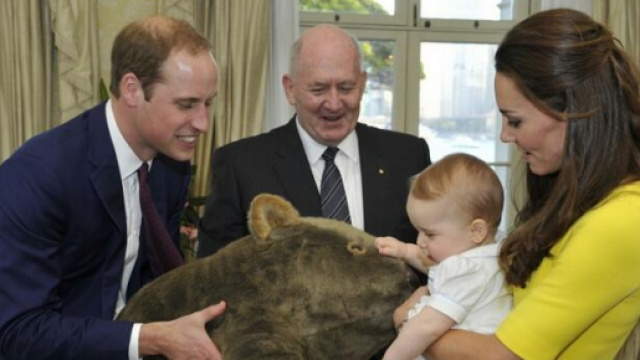 Kate Middleton e il principe William 'rimbalzati'