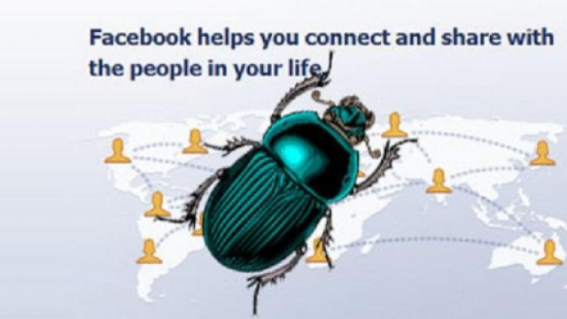 Un'immagine del bug scoperto su Facebook
