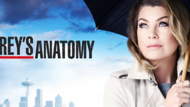 Ellen Pompeo, Grey's Anatomy 12