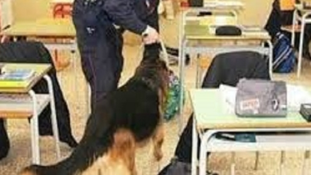 Cani antidroga all'opera tra i banchi di scuola.