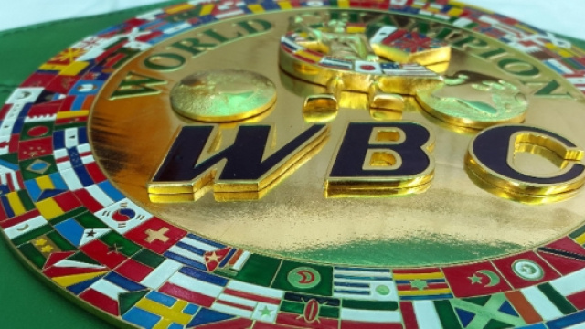 La boxe in tv, incontri del week end