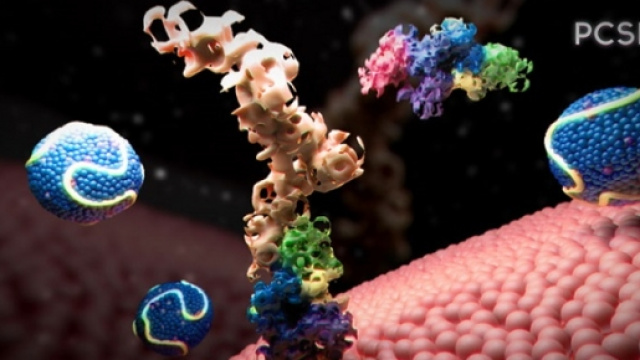 PCSK9, un nuovo target per l'ipercolesterolemia