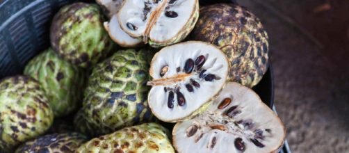 Remedio contra el c&aacute;ncer natural