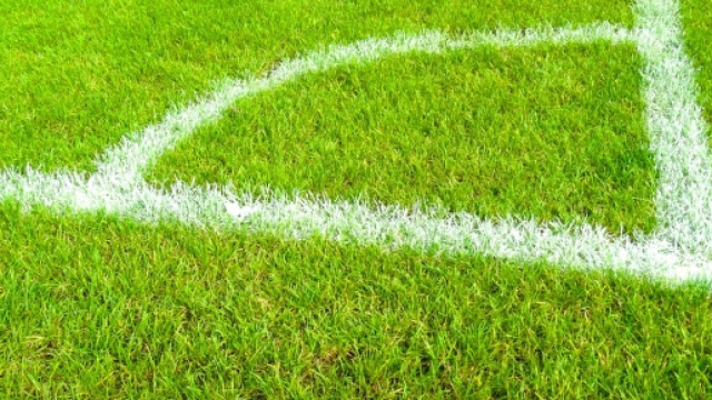 Pronostici Trapani-Cagliari e Entella-Bari