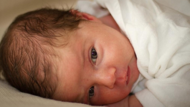 va condannata la pratica dell'utero in affitto?