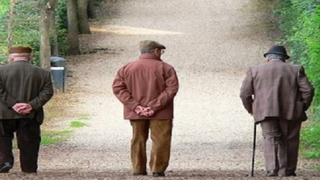 Assegno sociale: tutti i requisiti