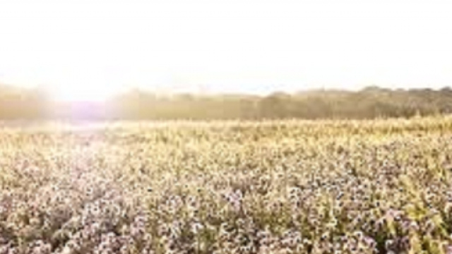 Previsioni meteo Pasqua e Pasquetta 2016