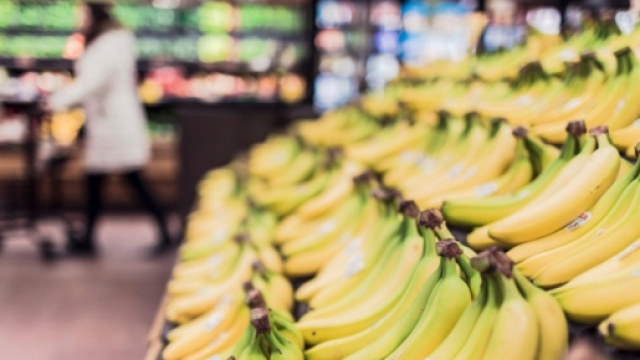 Legge contro gli sprechi alimentari in Italia