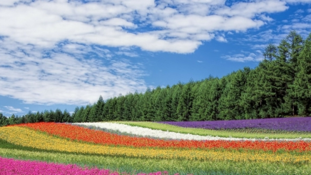 Pasqua e pasquetta 2016, come sar&agrave; il tempo?