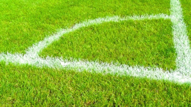 Pronostici Serie B 33esima giornata