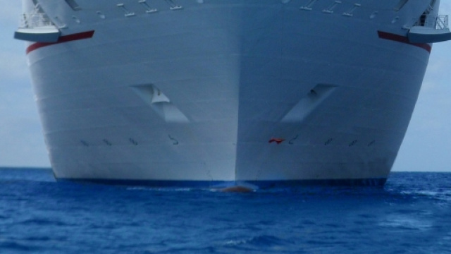 Crociere regine delle offerte: perch&eacute; fare una crociera?