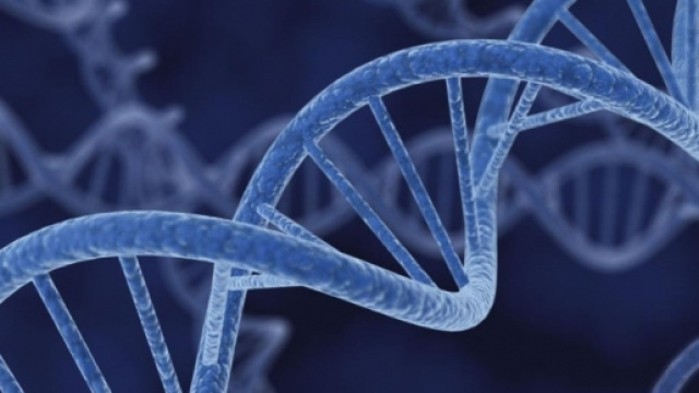 La Banca Dati del DNA contro terrorismo e criminalit&agrave;