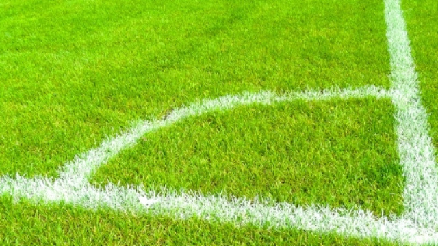 Pronostici mondiali Sudamerica 29 marzo