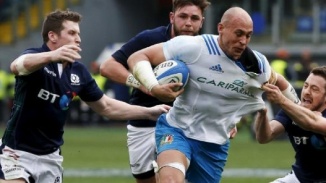 Sergio Parisse in azione contro la Scozia.