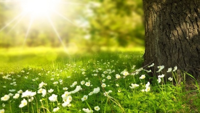 Temperatura sopra la media stagionale al Sud