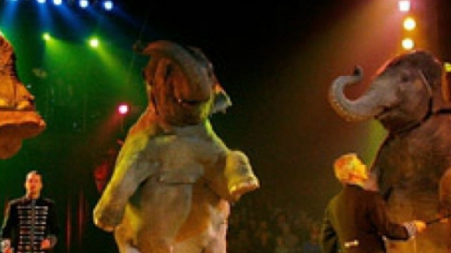 legge divieto uso animali nel circo