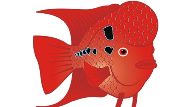 Scherzi divertenti, frasi e immagini pesce d'aprile 2016