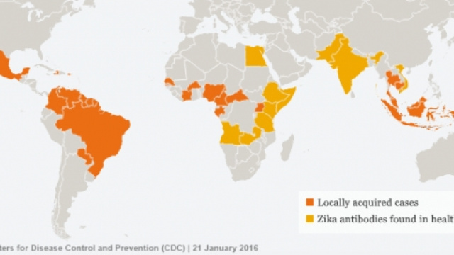 La trasmissione di Zika nel mondo.