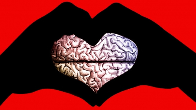 L'ossitocina agisce anche come antidolorifico