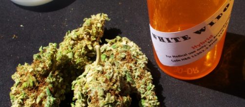 Medical marijuana [Photo via Mark/Flickr CC]
