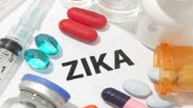 Esperimento su scimmia gravida infetta