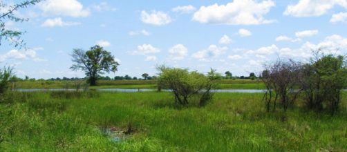 Kwando river, Bwabwata/Photo:J Flowers
