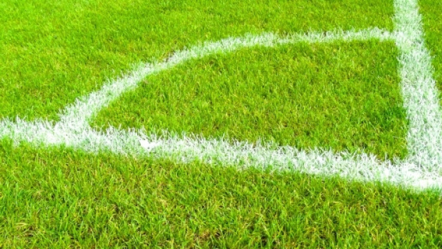 Pronostici Spezia-Modena e Ternana-Latina