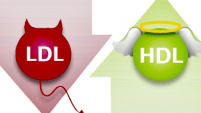 Colesterolo LDL/HDL: apporto calorico giornaliero